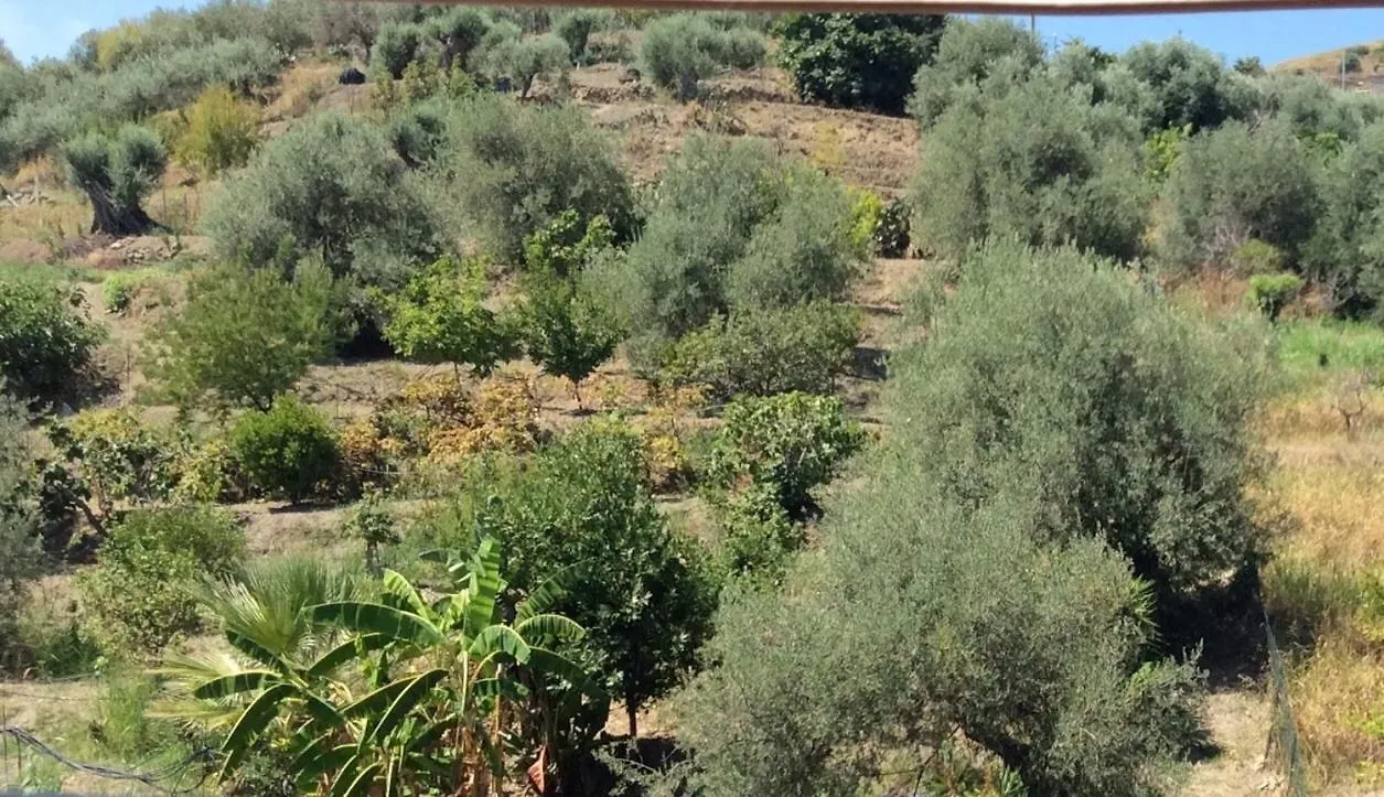 Bed & Breakfast B&B Domus Candida Calatabiano